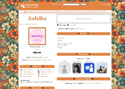 Florals Groovy Orange Flowers